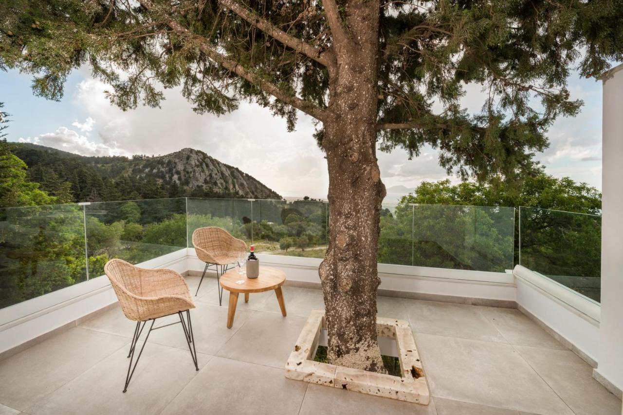 Forest View Villas 1 Lagoudi Zia Bagian luar foto