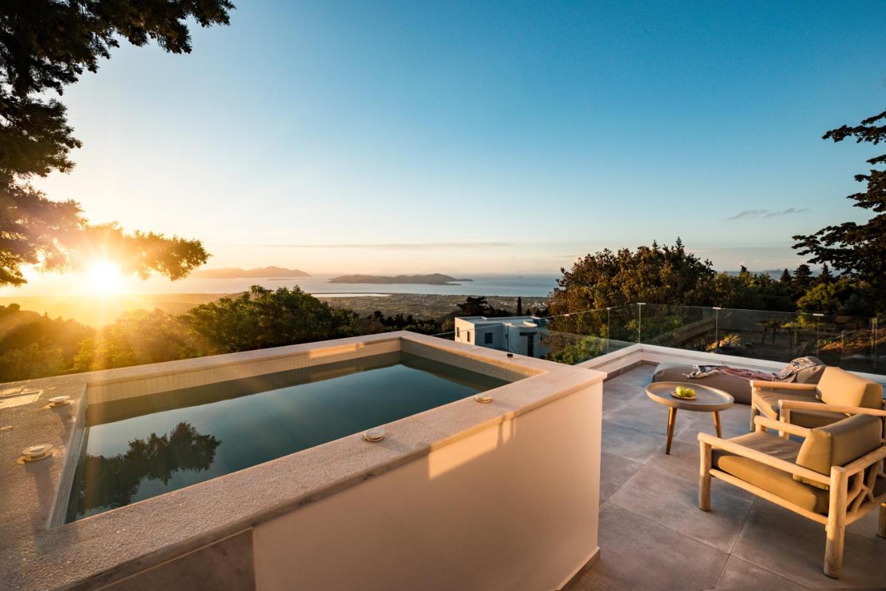 Forest View Villas 1 Lagoudi Zia Bagian luar foto